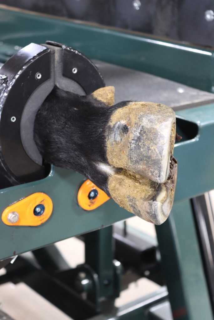 Hydraulic Leg Latch