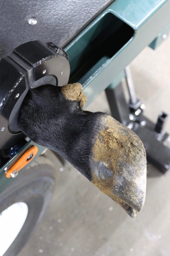 Leg Latch